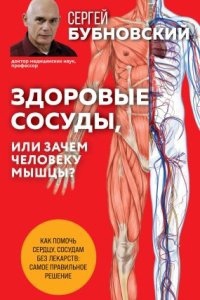 Здоровые сосуды, или Зачем человеку мышцы?