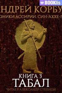 Хроники Ассирии. Син-аххе-риб 3. Табал. Книга 3