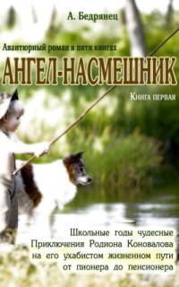 Ангел-насмешник 1. Школьные годы чудесные — Александр Бедрянец