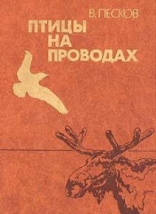 Птицы на проводах — Василий Песков