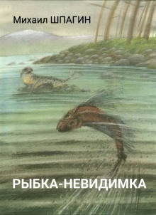 Рыбка-невидимка — Михаил Шпагин