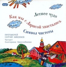 Аудиокнига Детские истории сельского прихода — Сергий Николаев