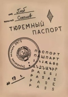 Тюремный паспорт. Часть 5 — Глеб Соколов