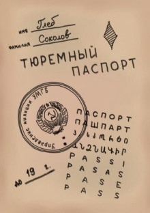 Тюремный паспорт. Часть 2 — Глеб Соколов
