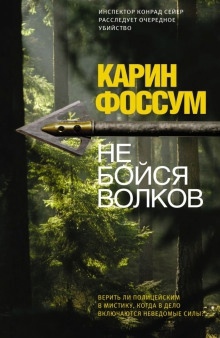 Аудиокнига Не бойся волков — Карин Фоссум