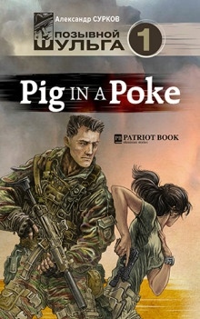 Аудиокнига Pig In A Poke — Александр Сурков