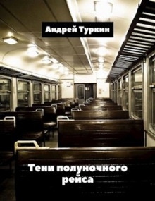 Тени полуночного рейса — Андрей Туркин