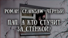 Аудиокнига Пап, а кто стучит за стенкой? — Роман Чёрный