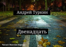 Аудиокнига Двенадцать — Андрей Туркин