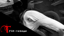 Гуси-Лебеди — Дмитрий Чепиков