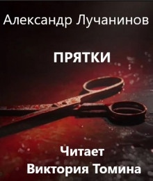 Аудиокнига Прятки — Александр Лучанинов