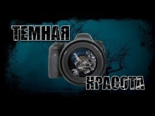 Темная красота — Дмитрий Видинеев