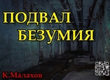 Аудиокнига Подвал безумия — Константин Малахов