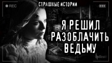 Аудиокнига Доказательство — Роман Башаев