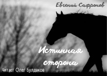 Истинная сторона - Евгений Сафронов