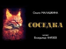 Соседка — Ольга Малашкина