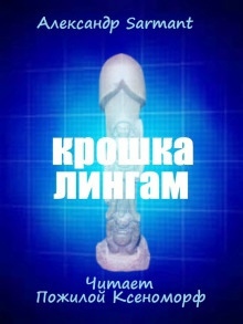 Аудиокнига Крошка лингам — Александр Sarmant