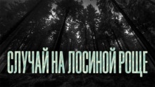 Аудиокнига Случай на Лосиной Роще — Олег Новгородов