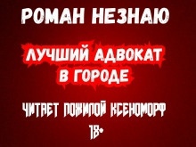 Аудиокнига Лучший адвокат в городе — Роман Незнаю