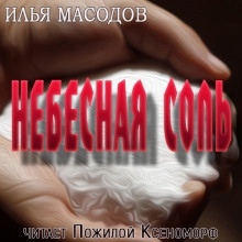Небесная соль — Илья Масодов