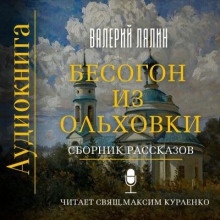 Аудиокнига Бесогон из Ольховки. Сборник рассказов — Валерий Лялин