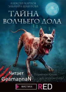 Тайна волчьего дола — Эльмира Шабурова