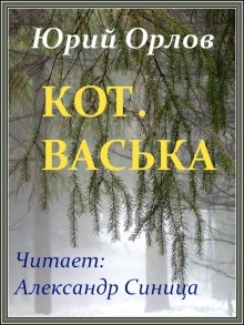 Аудиокнига Кот. Васька — Юрий Орлов