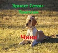 Чинк — Эрнест Сетон-Томпсон