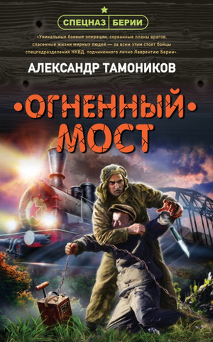 Огненный мост — Александр Тамоников