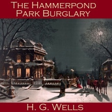 Ограбление в Хэммерпонд-парке — Герберт Уэллс