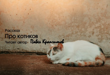 Про котиков - 