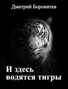 И здесь водятся тигры — Дмитрий Боровичёв