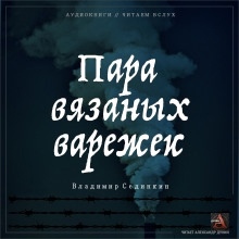 Пара вязаных варежек