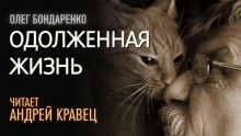 Аудиокнига Одолженная жизнь — Олег Бондаренко