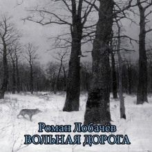 Аудиокнига Вольная дорога — Роман Лобачёв