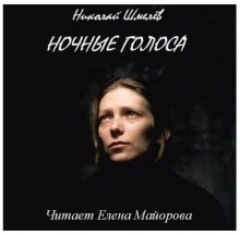 Ночные голоса - Николай Шмелёв