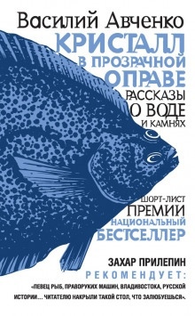 Аудиокнига Кристалл в прозрачной оправе — Василий Авченко