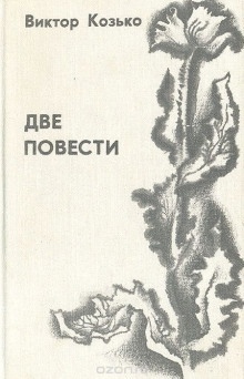 Повесть о беспризорной любви — Виктор Козько