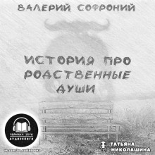 Аудиокнига История про родственные души — Валерий Софроний