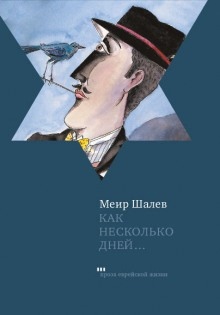 Аудиокнига Как несколько дней... — Меир Шалев