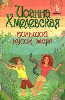 Аудиокнига Большой кусок мира — Иоанна Хмелевская