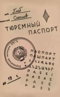 Тюремный паспорт. Часть 3 — Глеб Соколов