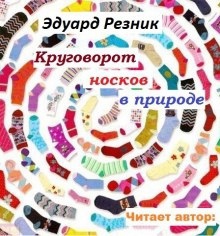 Аудиокнига Круговорот носков в природе — Эдуард Резник