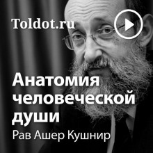 Анатомия человеческой души — Ашер Кушнир