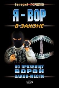 По прозвищу Ворон 1. Закон мести — Валерий Горшков