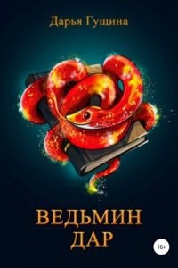 Ведь мы – ведьмы! 3. Ведьмин дар — Дарья Гущина