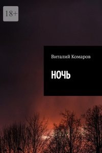 Ночь - Виталий Комаров