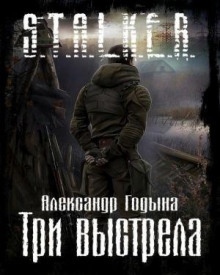 S.T.A.L.K.E.R. Три выстрела — Александр Годына