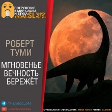 Аудиокнига Мгновенье вечность бережёт — Роберт Туми