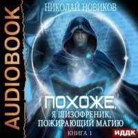 Похоже, я шизофреник, пожирающий магию - Николай Новиков